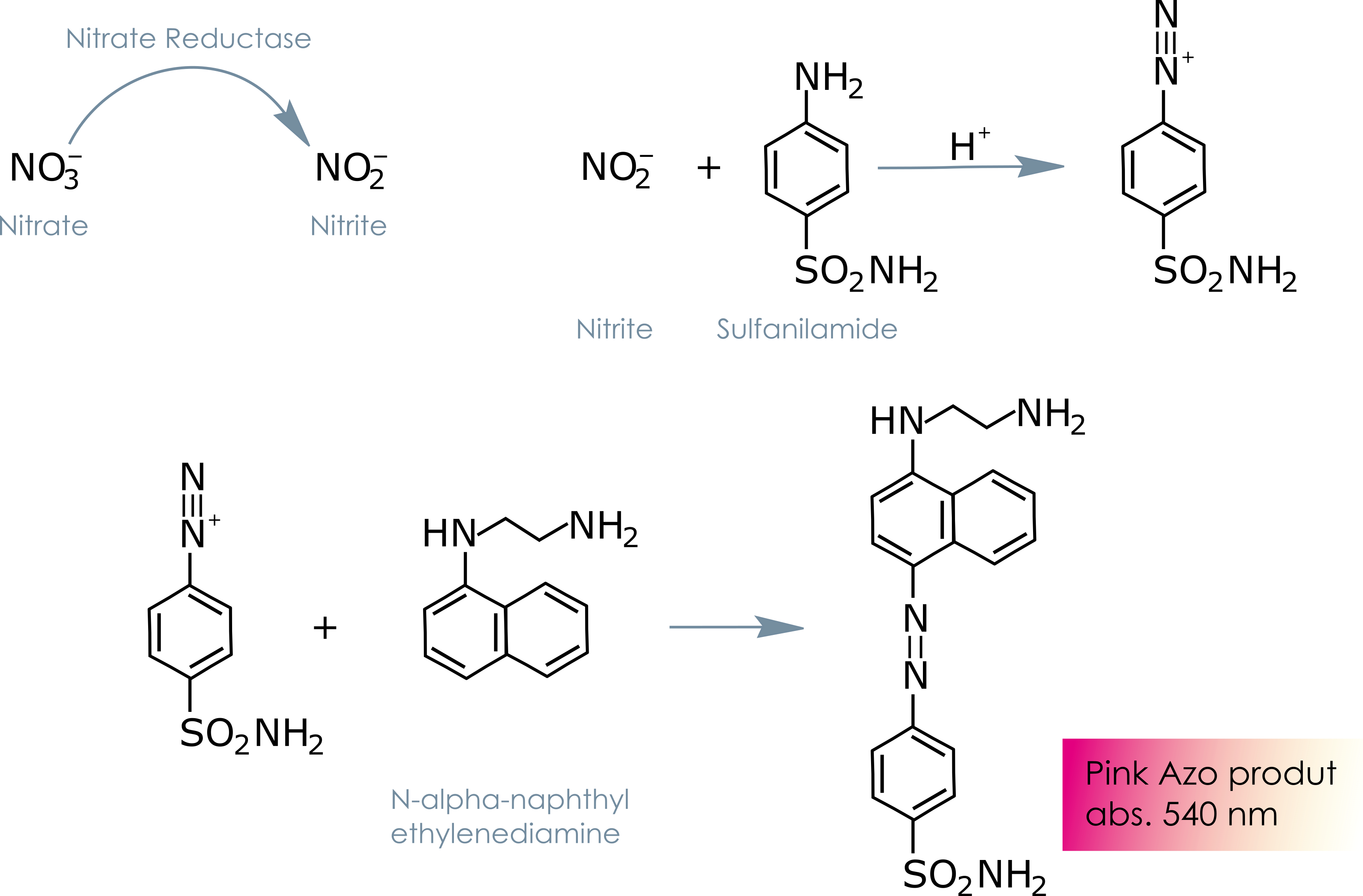 Nitrite Detection Kit